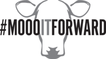 moooitforward
